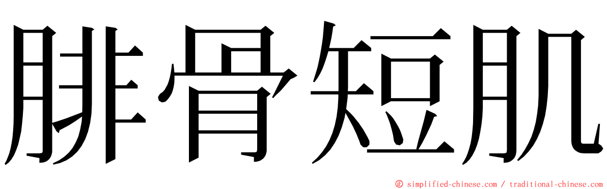 腓骨短肌 ming font