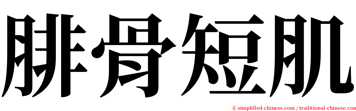 腓骨短肌 serif font