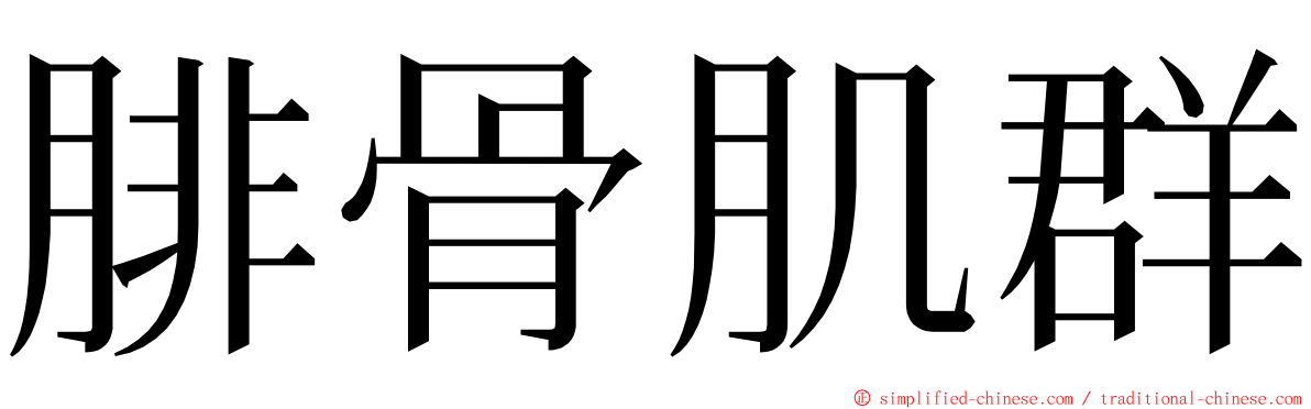 腓骨肌群 ming font