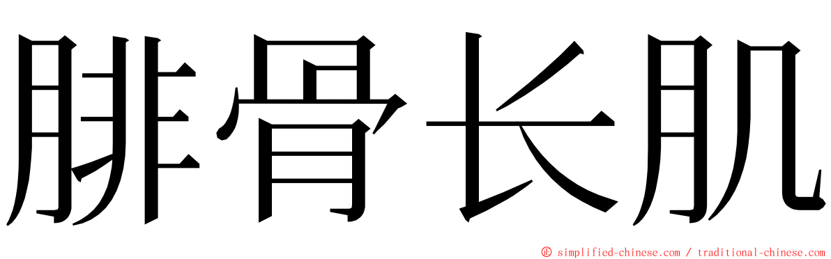 腓骨长肌 ming font