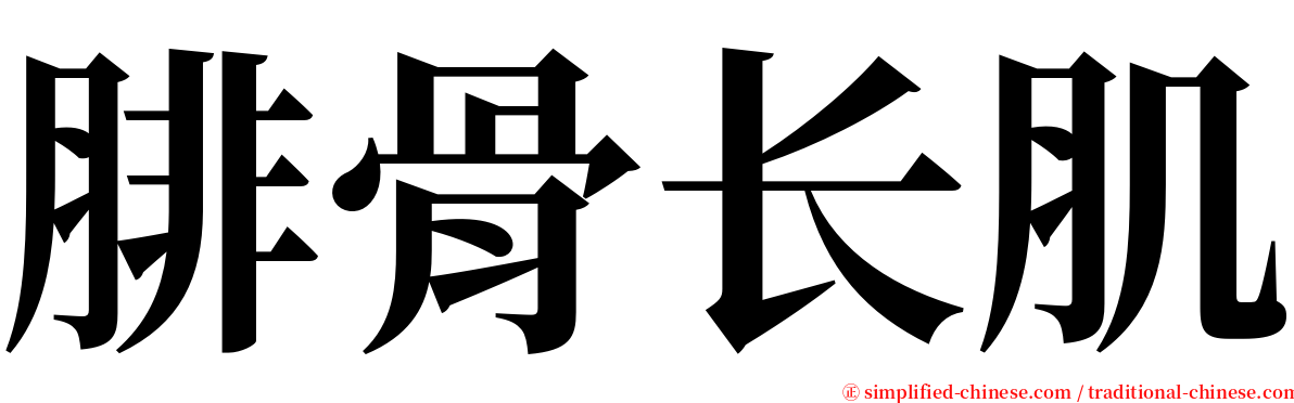 腓骨长肌 serif font