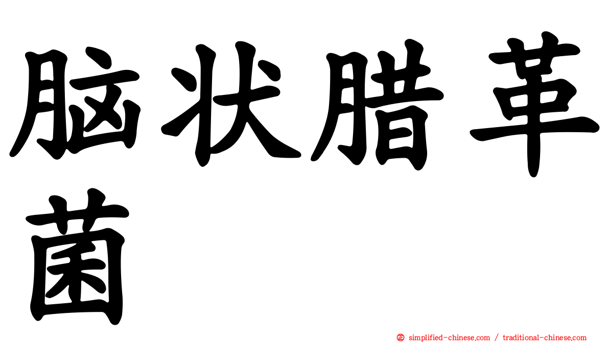 脑状蜡革菌