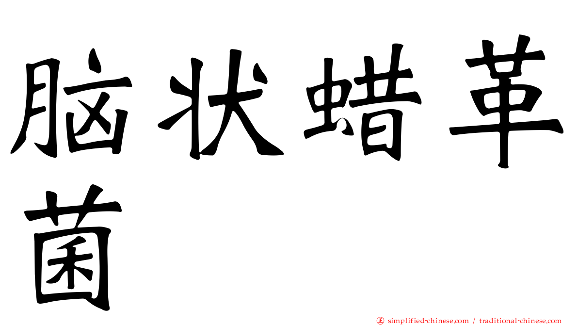脑状蜡革菌
