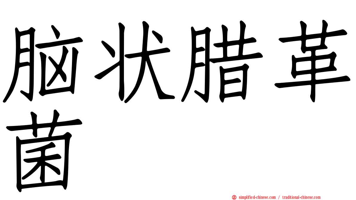 脑状蜡革菌