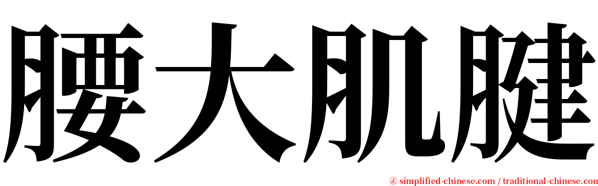 腰大肌腱 serif font