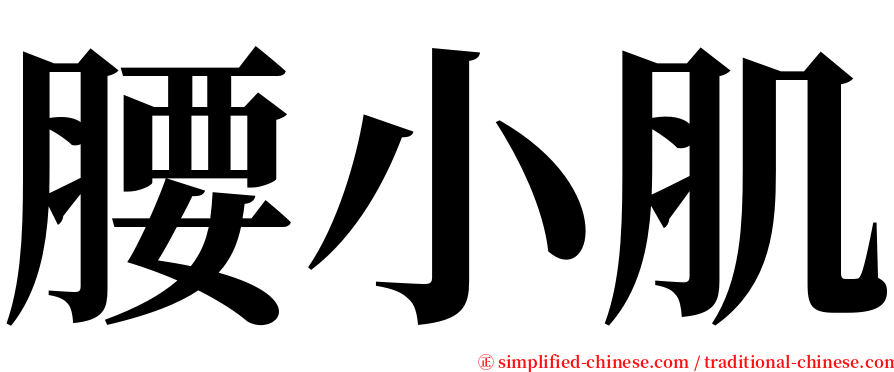 腰小肌 serif font