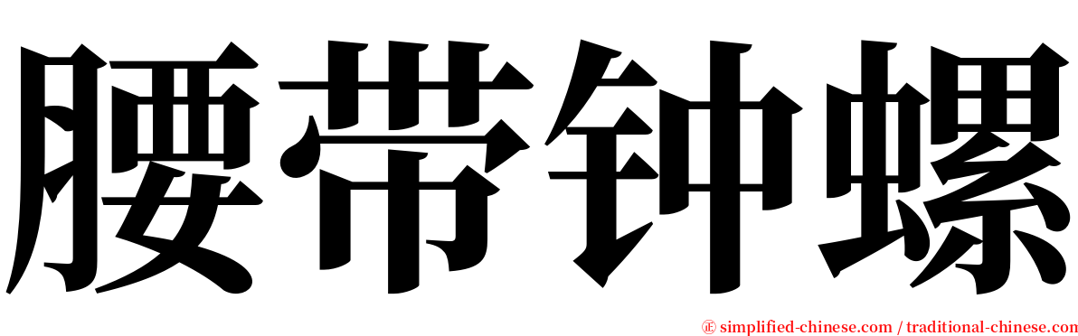 腰带钟螺 serif font