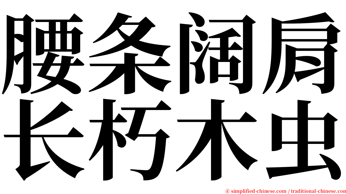 腰条阔肩长朽木虫 serif font