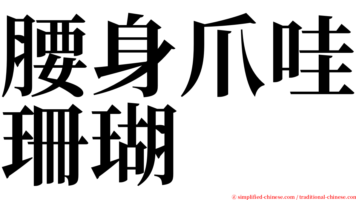 腰身爪哇珊瑚 serif font