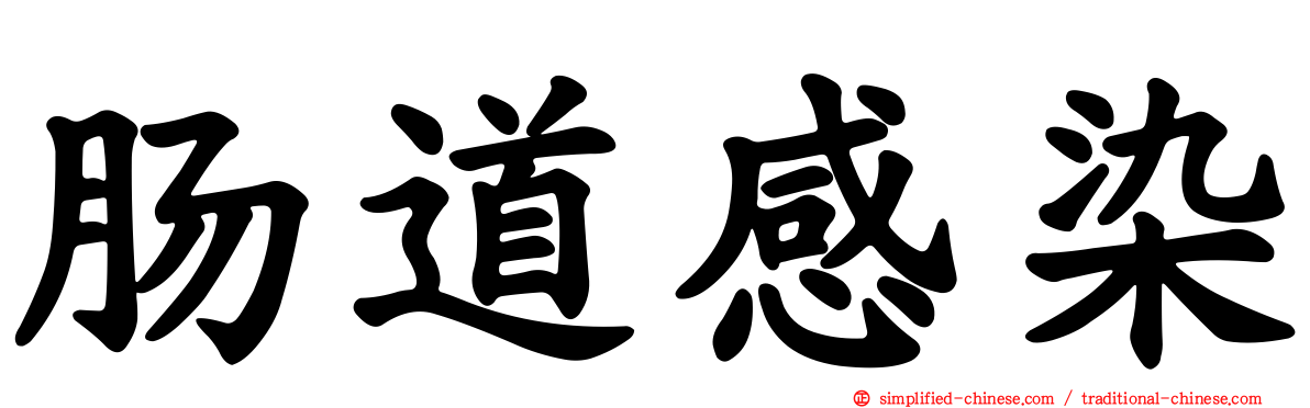 肠道感染