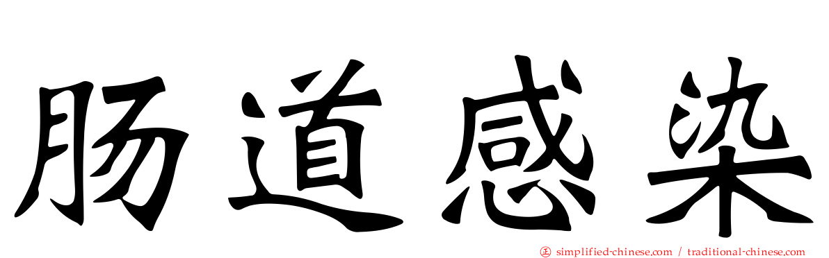 肠道感染