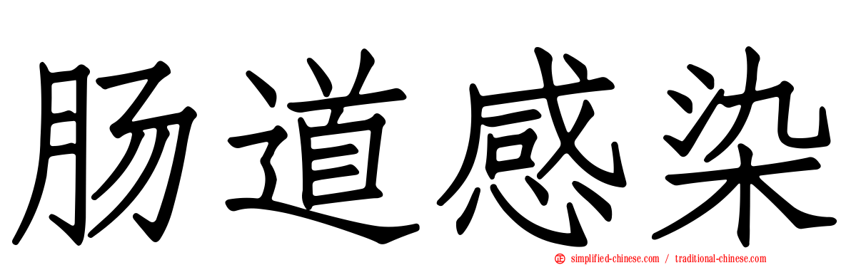 肠道感染