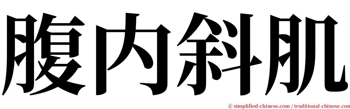 腹内斜肌 serif font