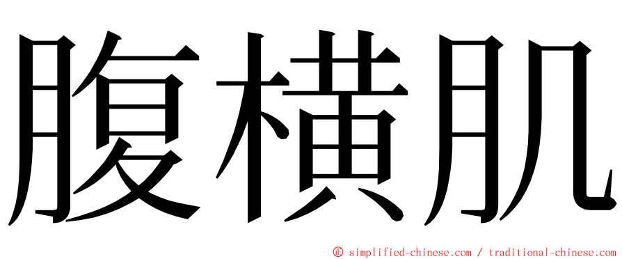 腹横肌 ming font