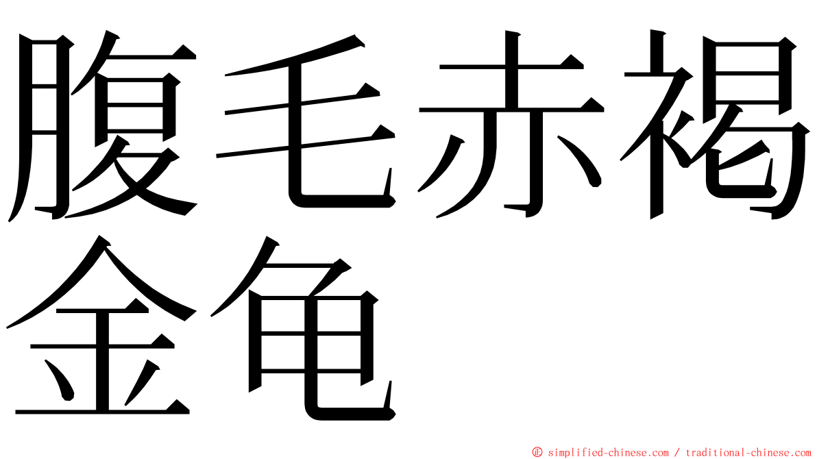 腹毛赤褐金龟 ming font
