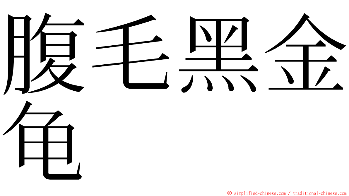 腹毛黑金龟 ming font