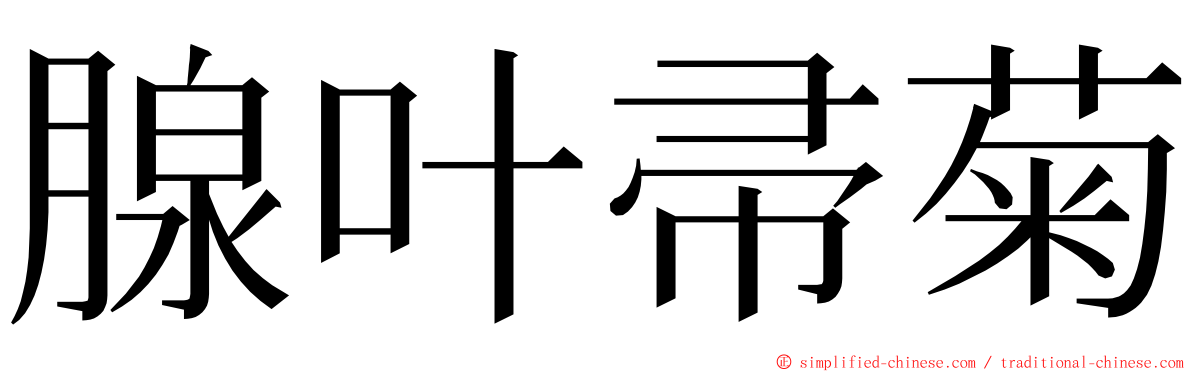 腺叶帚菊 ming font