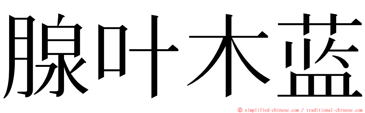 腺叶木蓝 ming font