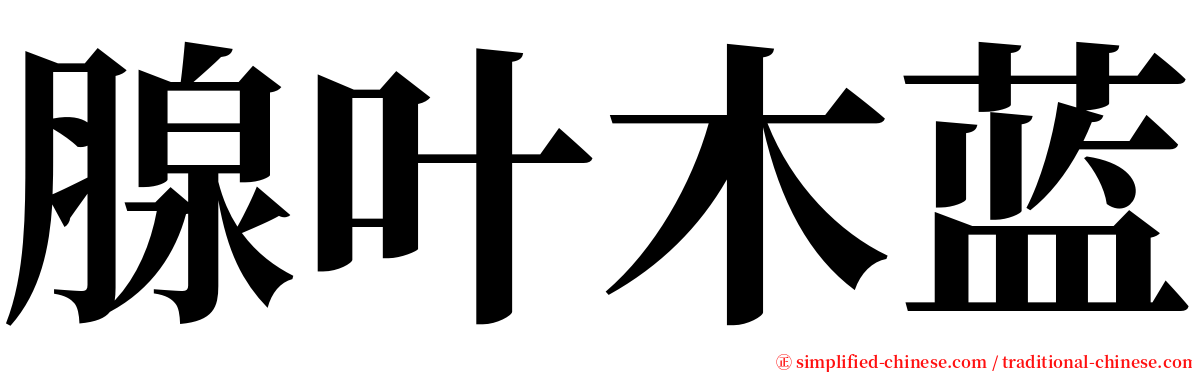 腺叶木蓝 serif font