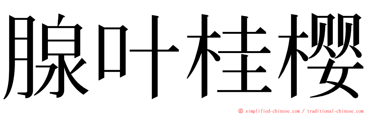 腺叶桂樱 ming font