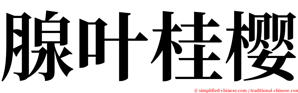 腺叶桂樱 serif font