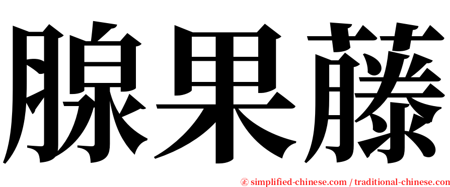 腺果藤 serif font