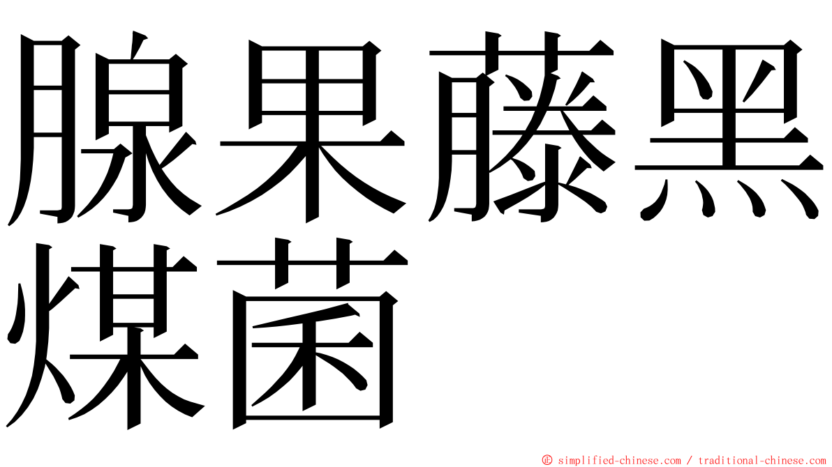 腺果藤黑煤菌 ming font