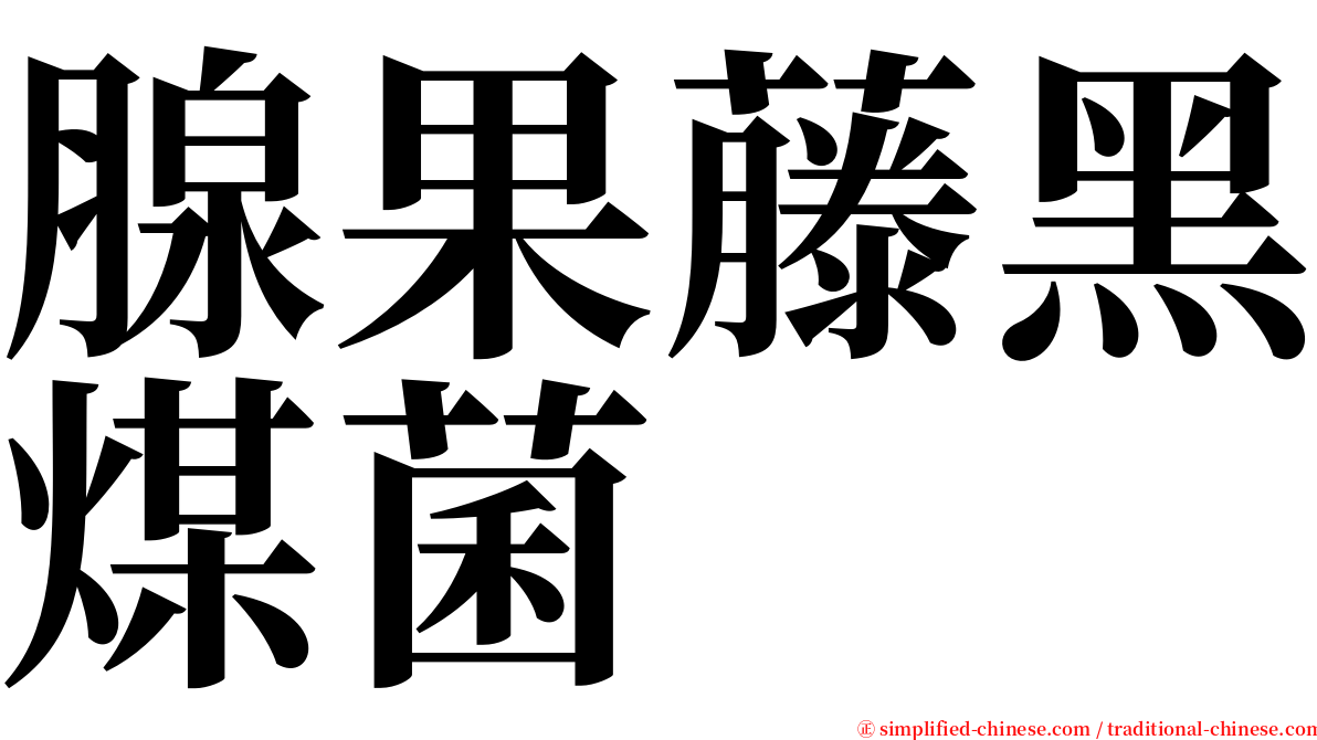 腺果藤黑煤菌 serif font