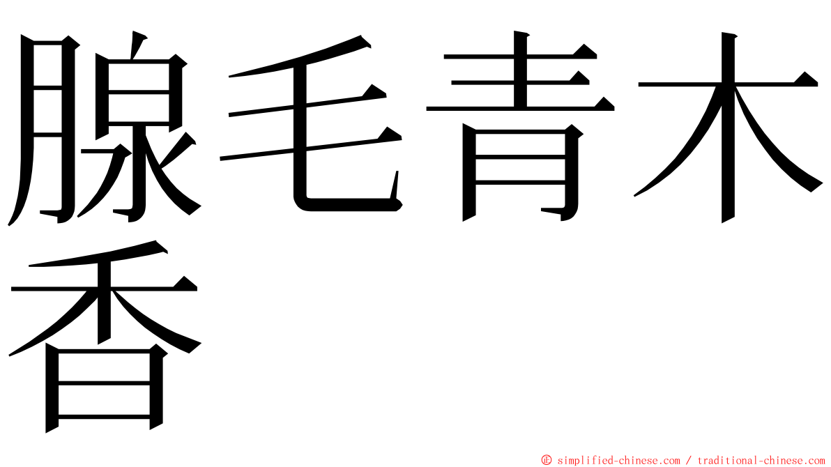 腺毛青木香 ming font