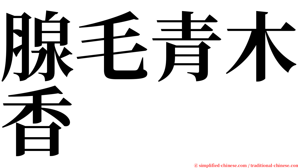 腺毛青木香 serif font