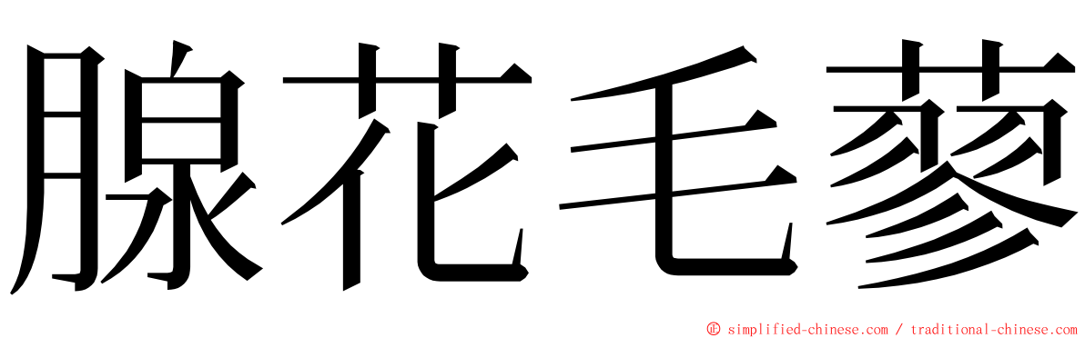 腺花毛蓼 ming font