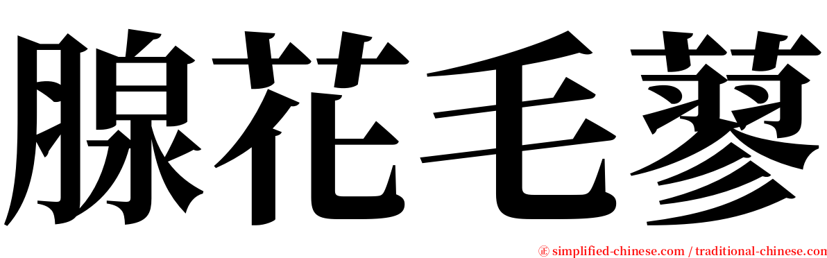 腺花毛蓼 serif font