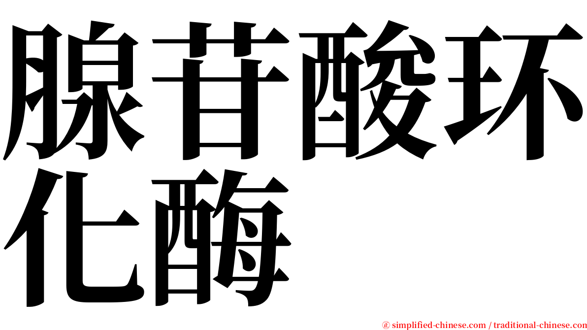 腺苷酸环化酶 serif font