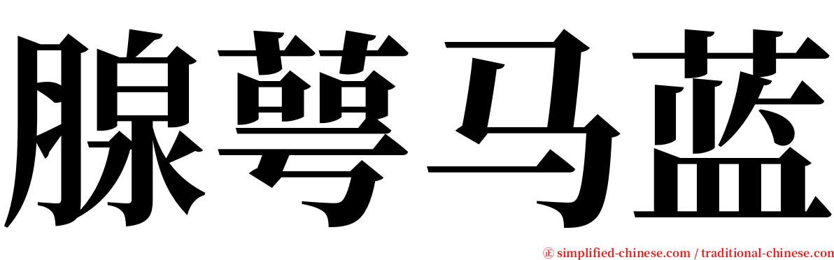 腺萼马蓝 serif font