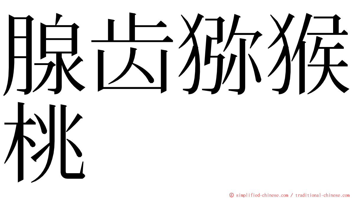 腺齿猕猴桃 ming font