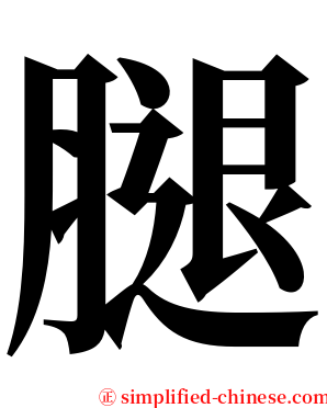 腿 serif font