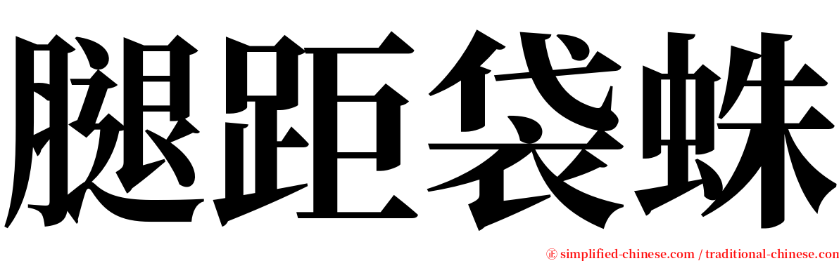 腿距袋蛛 serif font