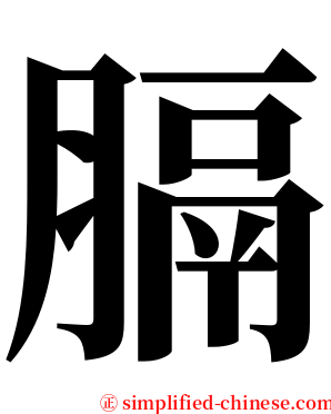 膈 serif font