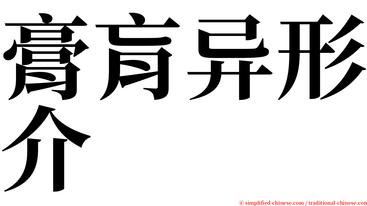 膏肓异形介 serif font