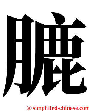 膔 serif font