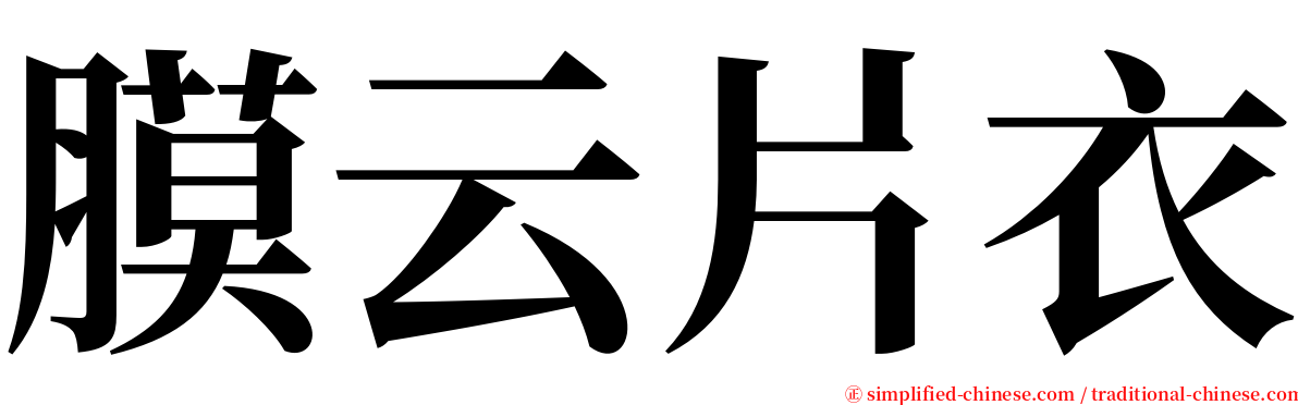 膜云片衣 serif font