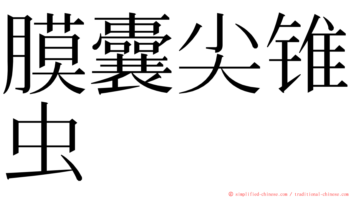 膜囊尖锥虫 ming font