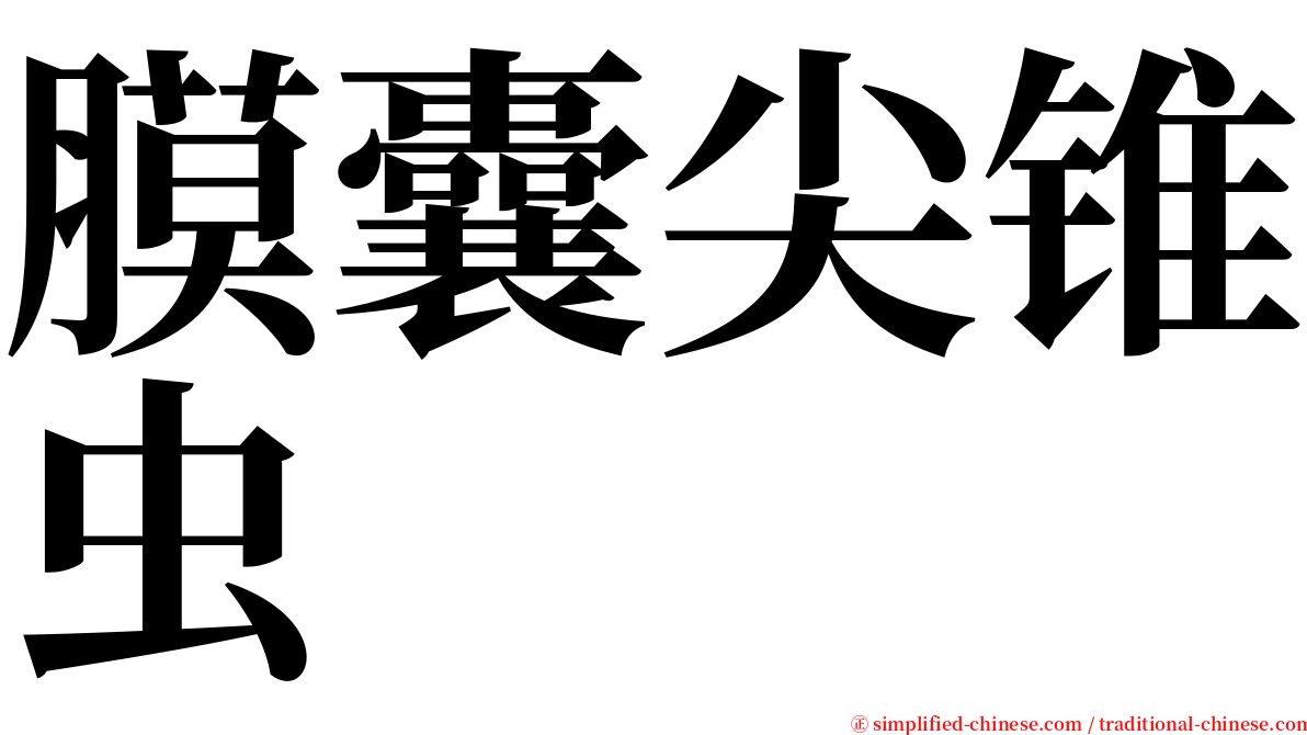 膜囊尖锥虫 serif font