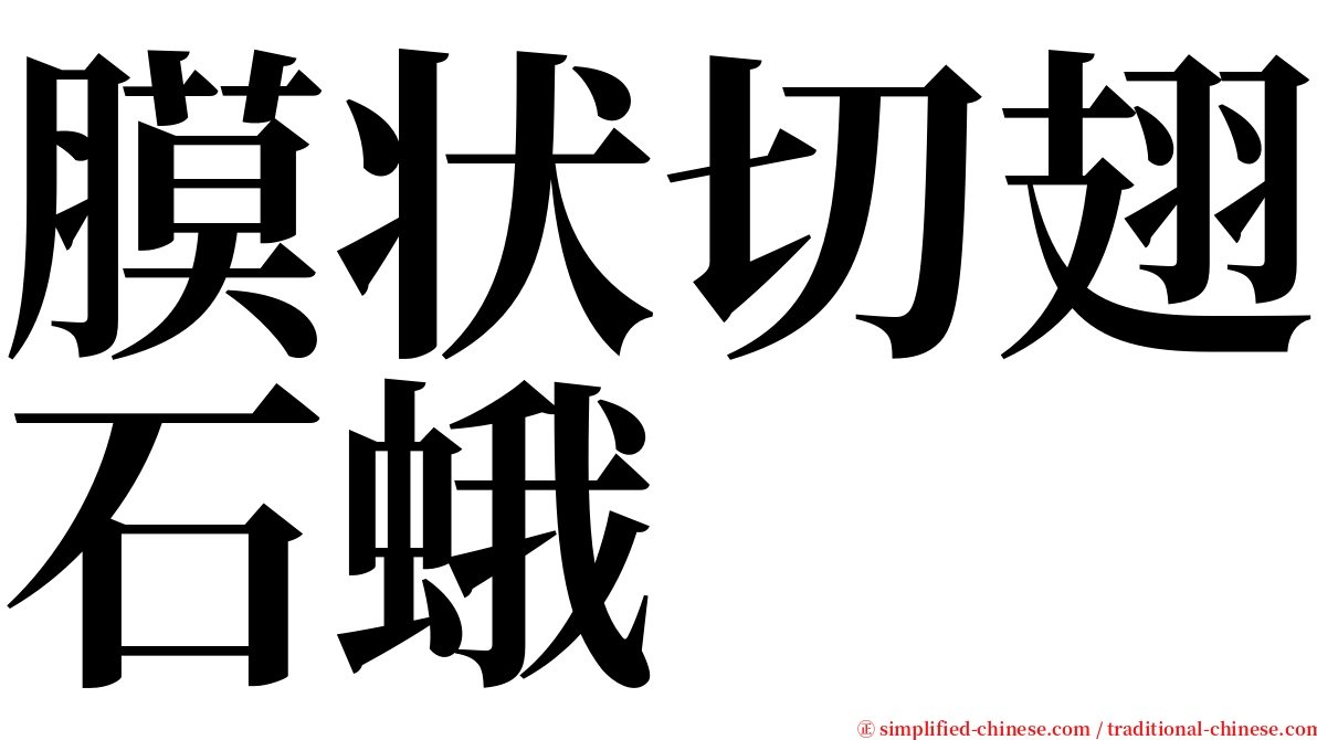 膜状切翅石蛾 serif font