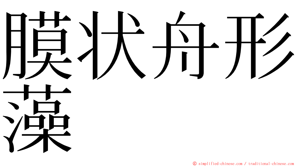 膜状舟形藻 ming font