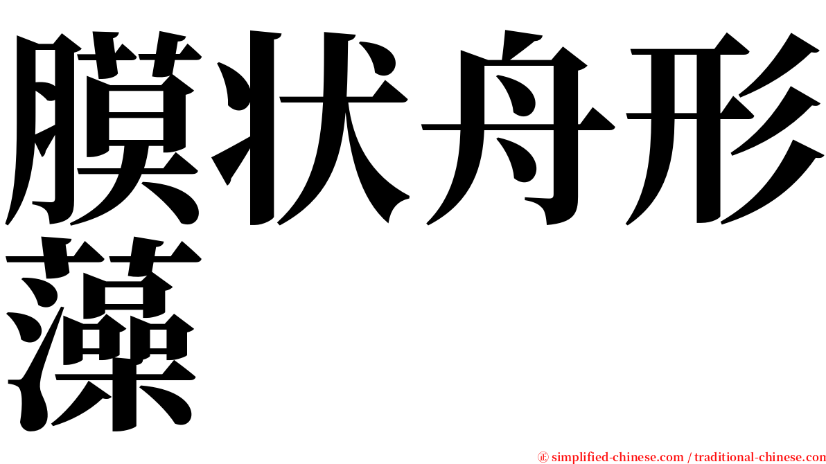 膜状舟形藻 serif font