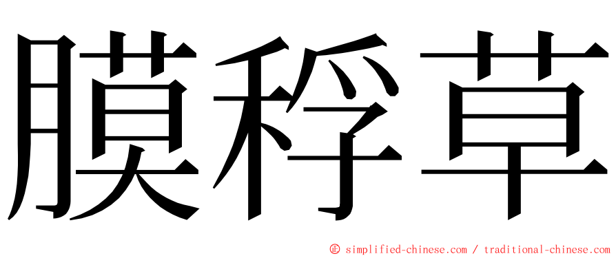 膜稃草 ming font