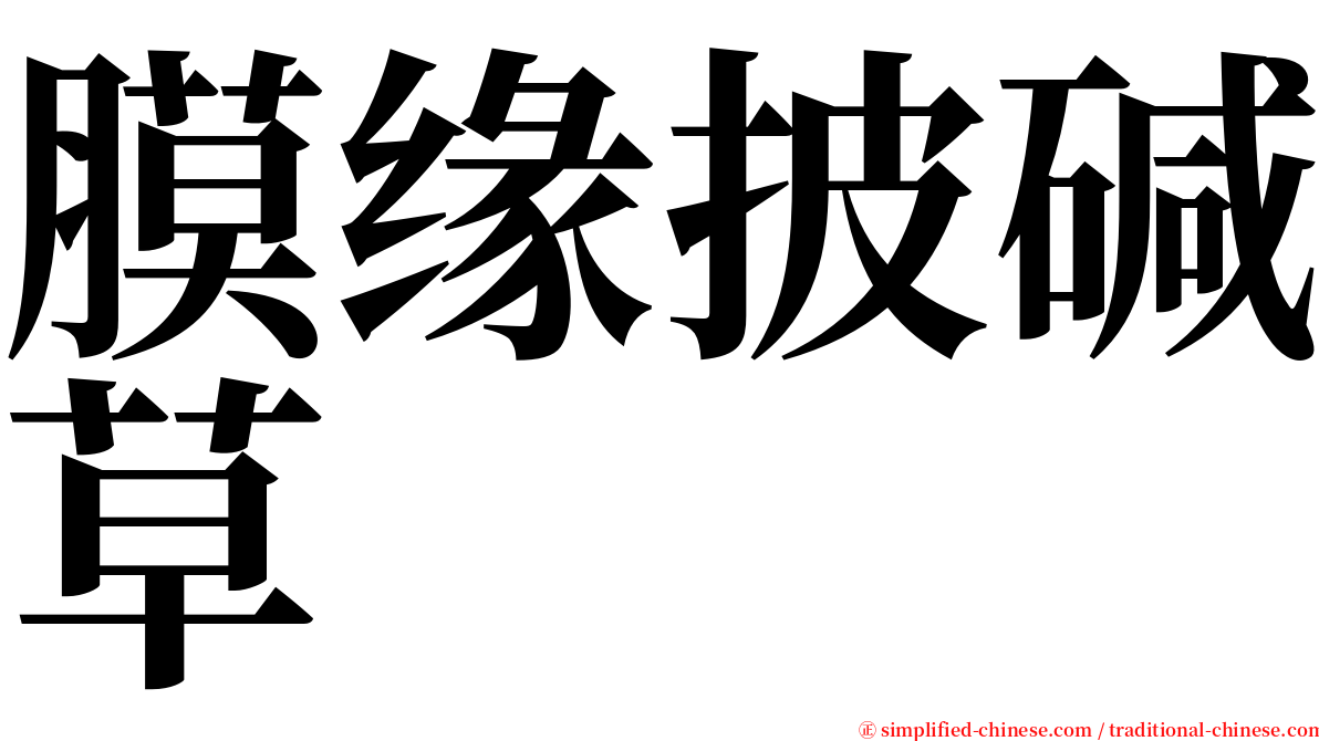 膜缘披碱草 serif font