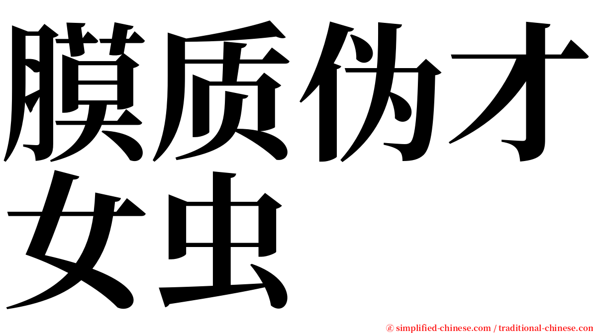 膜质伪才女虫 serif font