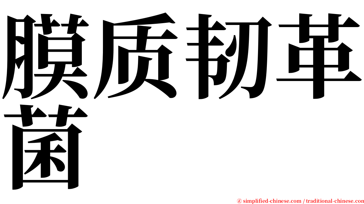 膜质韧革菌 serif font